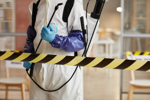 Professional Hoarding Cleanup technician working in Chester, IL